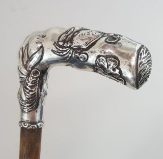 Antique Sterling Handle Cane,  Nautical Maritime Seashell Oyster Crab Starfish, photo