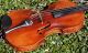 Antique Violin Labelled Josef Kloz In Mittenwald.  Sound & Build String photo 3