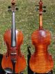 Antique Violin Labelled Josef Kloz In Mittenwald.  Sound & Build String photo 5