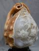Antique Victorian Art Nouveau Carved Shell Cameo Lamp Dancing Maidens Sculpture Art Nouveau photo 7