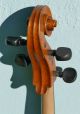 Fine French 1/2 Size Cello By Francois Roudhloff Ca.  1830, String photo 7