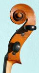 Fine French 1/2 Size Cello By Francois Roudhloff Ca.  1830, String photo 8