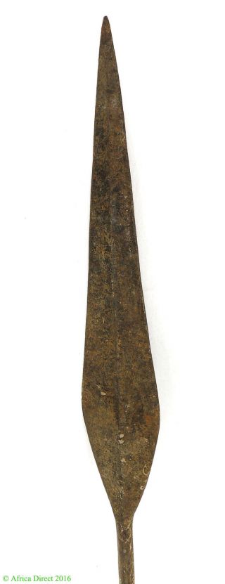 Mongo Or Maasai Spear With Weighted Handle Iron Congo African Art photo