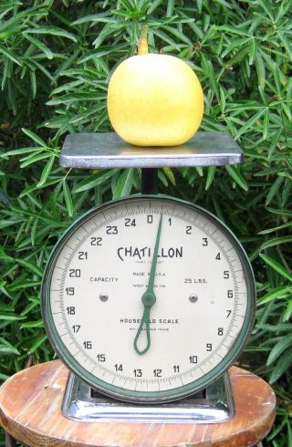 Vintage Chatillon Household Scale Green And Silver photo