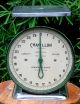 Vintage Chatillon Household Scale Green And Silver Scales photo 1