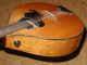 Fine Old Antique 12string Mandolin Mandriola With Pickup String photo 1