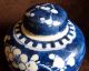 Vintage Chinese Blue White & Porcelain Ceramic Prunus Ginger Jar Vase Vases photo 1