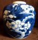 Vintage Chinese Blue White & Porcelain Ceramic Prunus Ginger Jar Vase Vases photo 5