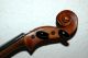 Fine Antique Geman Fullsize 4/4 Violin - Label Antonius Stradiuarius - 1920 ' S String photo 4