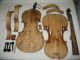 Very Old Italian Violin - Dominicus Montagnana String photo 7