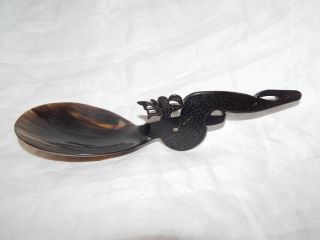 Vintage Carved & Polished Water Buffalo Horn Spoon With Dragon Handle Oriental photo