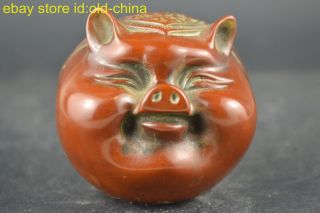 China Collectible Old Resin Carve Pig Lucky Cute Statue Decor Boy Or Girl Mascot photo