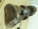 Unusual Songye Nkisi Figure Other African Antiques photo 11
