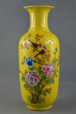 Collectibles Chinese Jingdezhen Porcelain Painting Flower Bird Wonderful Vase photo
