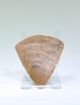 Ex Christie ' S Pre Dynastic Egyptian Stone Hand Axe 4000 Bc Egyptian photo 3