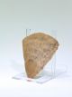 Ex Christie ' S Pre Dynastic Egyptian Stone Hand Axe 4000 Bc Egyptian photo 5