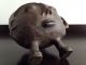 Extremely Unusual African Tribal Art Piece - Item Other African Antiques photo 1