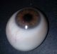 Antigue Pre - Wwii German Large Medical Human Prosthetic Glass Eye Brown Iris Optical photo 1