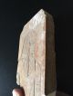 Rare Ancient Egyptians Limestone Queen Hatshepsut - 1482 Bc To 1479 Bc Egyptian photo 3