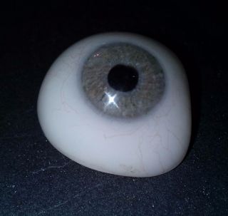 Antigue Pre - Wwii German Large Medical Human Prosthetic Glass Eye Blue - Grey Iris photo