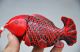 Exquisite Chinese Red Coral Hand Carved Fish Snuff Bottle Snuff Bottles photo 3