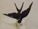 Swallow Bird Decoration Porcelain Figurine Ens German Figurines photo 1