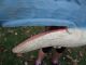 Antique Old Wooden Painted Humpback Whale Weathervane From Gloucester,  Ma 50 