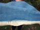 Antique Old Wooden Painted Humpback Whale Weathervane From Gloucester,  Ma 50 