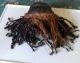 Chokwe Female Pwo Mask Carved In Wood,  Vegetal Hair.  9 