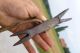 Antique Ketzergabel,  Kinngabel,  Rare Torture,  Medieval,  Chin Fork,  Heretic Fork Primitives photo 2