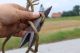 Antique Ketzergabel,  Kinngabel,  Rare Torture,  Medieval,  Chin Fork,  Heretic Fork Primitives photo 6