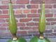 Vintage Mid Century Modern Retro Green Table Lamps Eames Era Mid-Century Modernism photo 5