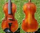 Fine Antique Czech Violin - B.  Dousa,  Budvicii,  1921.  Wonderful Build & Sound String photo 1