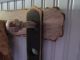 Primitive Shaker Style Adjustable Shelf/sconce With Tin Candle Cup Primitives photo 9