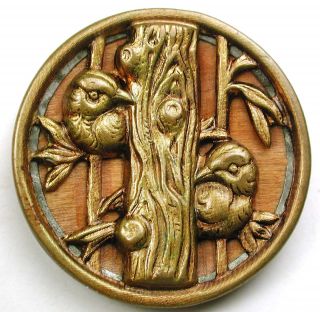 Lg Sz Antique Woodback Brass Button 2 Birds Peering Around Tree - 1 & 3/8 