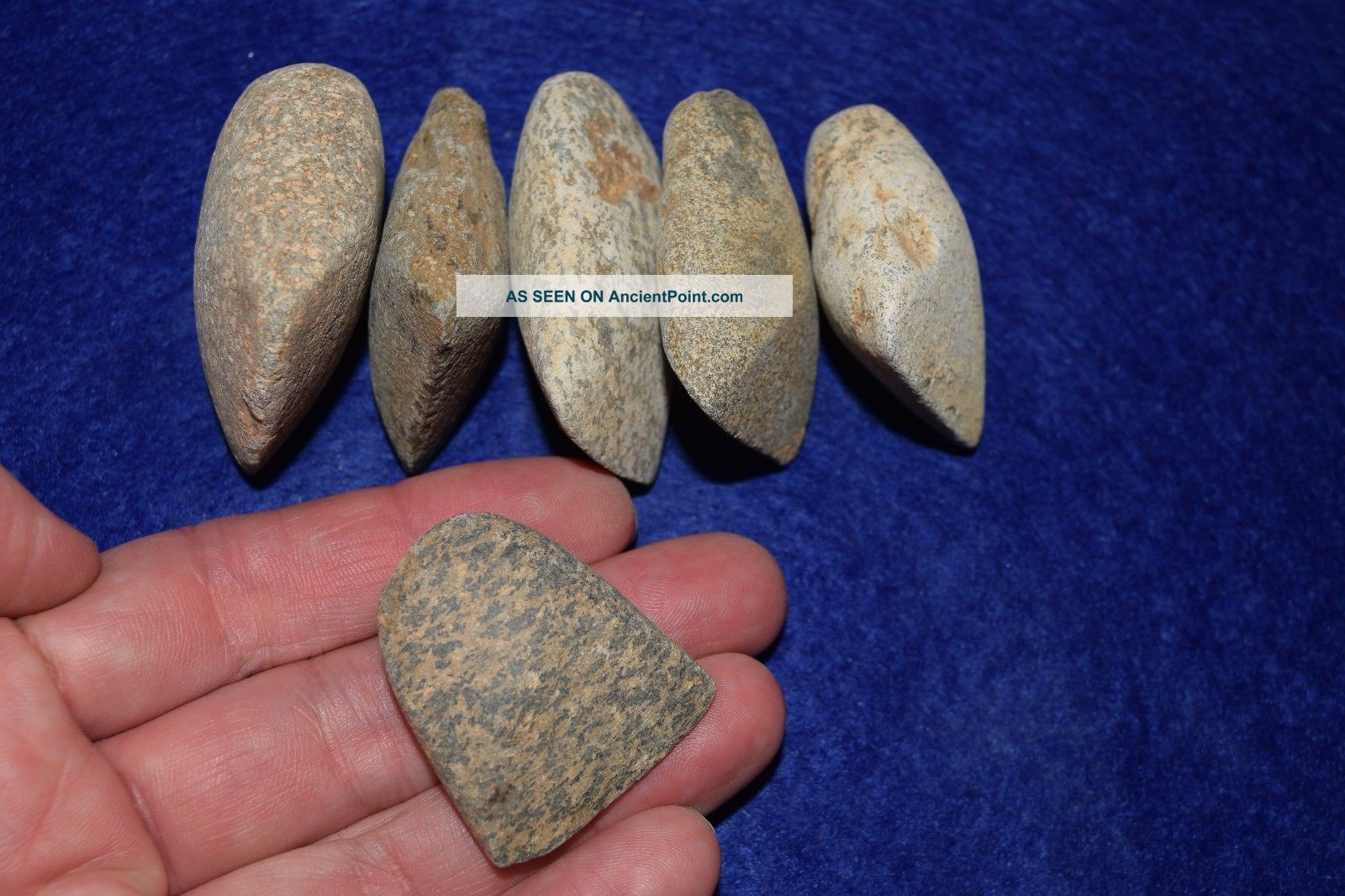 6 Small/medium Sized Hard Stone Celts From The Sahara Neolithic Neolithic & Paleolithic photo