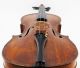 Antique,  Alberto Petracca,  Italian Old Labeled 4/4 Violin String photo 1