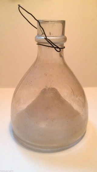 Antique Vital? Hand Blown Glass Insect Fly Bee Wasp Bug Trap Catcher Wire Hanger photo