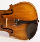 Antique Violin D.  Tecchler 1721 Geige Violon Violino Violine Viola ヴァイオリン 小提琴 String photo 9