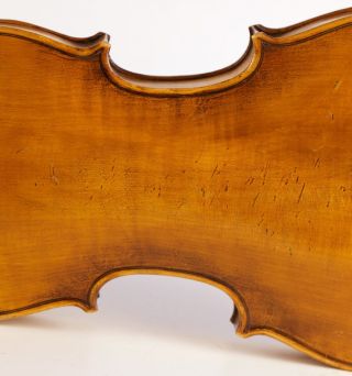 Antique Violin D.  Tecchler 1721 Geige Violon Violino Violine Viola ヴァイオリン 小提琴 photo