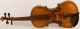 Antique Violin D.  Tecchler 1721 Geige Violon Violino Violine Viola ヴァイオリン 小提琴 String photo 1