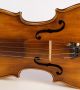 Antique Violin D.  Tecchler 1721 Geige Violon Violino Violine Viola ヴァイオリン 小提琴 String photo 3