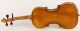 Antique Violin D.  Tecchler 1721 Geige Violon Violino Violine Viola ヴァイオリン 小提琴 String photo 4