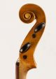 Antique Violin D.  Tecchler 1721 Geige Violon Violino Violine Viola ヴァイオリン 小提琴 String photo 7