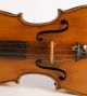 Italian Small Violin G.  Pedrazzini 1920 Geige Violon Violino Violine 小提琴 バイオリン String photo 2