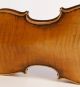Italian Small Violin G.  Pedrazzini 1920 Geige Violon Violino Violine 小提琴 バイオリン String photo 5