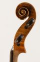 Italian Small Violin G.  Pedrazzini 1920 Geige Violon Violino Violine 小提琴 バイオリン String photo 6