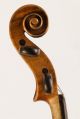 Italian Small Violin G.  Pedrazzini 1920 Geige Violon Violino Violine 小提琴 バイオリン String photo 7
