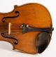 Italian Small Violin G.  Pedrazzini 1920 Geige Violon Violino Violine 小提琴 バイオリン String photo 8