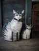 Large Papier Mache Belsnickle Santa Mustard Milk Paint Primitives photo 9